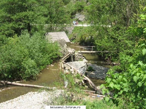 mori de apa - eftimie murgu excursie sud vestul romaniei