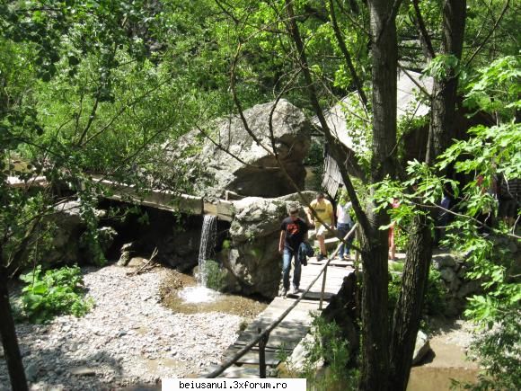 :) excursie sud vestul romaniei